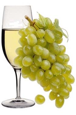 vino marchigiano