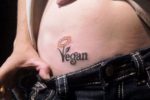Vini vegani trentini